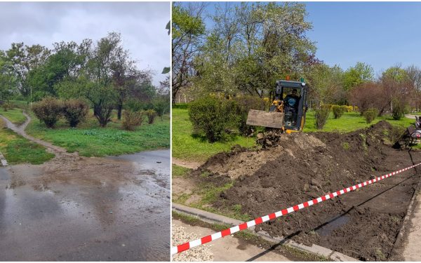 Grădina de ploaie, o premieră în București: Parcul Tineretului, model de sustenabilitate