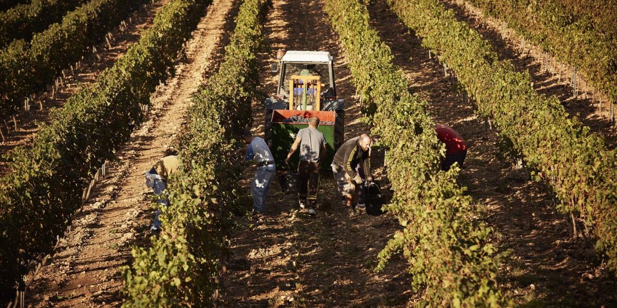 Spania legalizează 500.000 de imigranți: Cine beneficiază de „amnistiere”