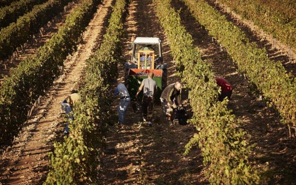 Spania legalizează 500.000 de imigranți: Cine beneficiază de „amnistiere”