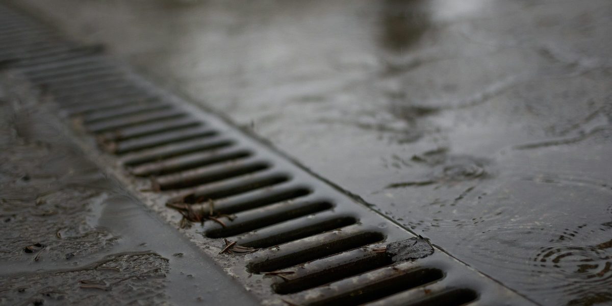 Negoiță plătește 3.000 de euro pe o gură de canalizare: O afacere scumpă