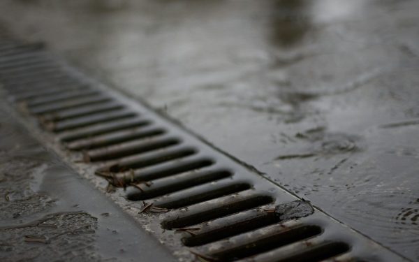 Negoiță plătește 3.000 de euro pe o gură de canalizare: O afacere scumpă