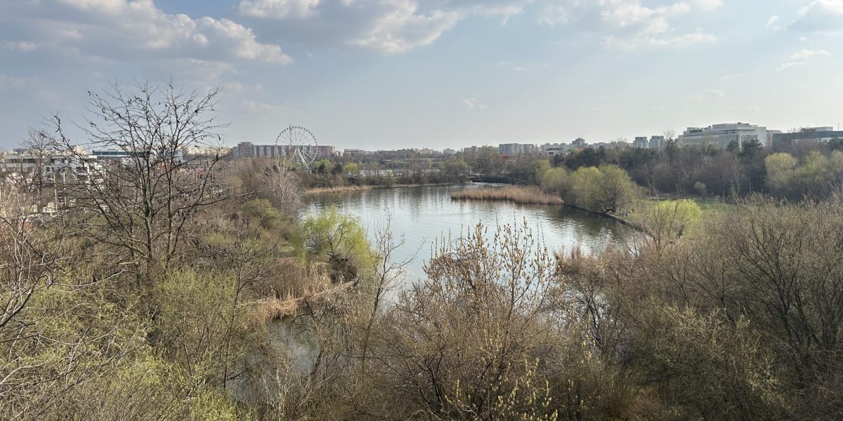 Pajiștea Petricani, recent declarată arie naturală protejată de interes local, se află într-un proces de transformare rapidă șiimgs în contrast cu statutul său de protecție