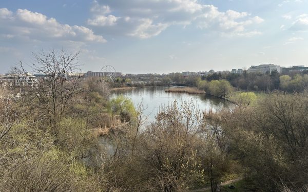 Pajiștea Petricani, recent declarată arie naturală protejată de interes local, se află într-un proces de transformare rapidă șiimgs în contrast cu statutul său de protecție