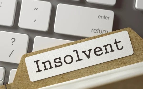 Iată ce schimbări aduce insolvența fizică din 2026: ce-nseamnă „viață rezonabilă”