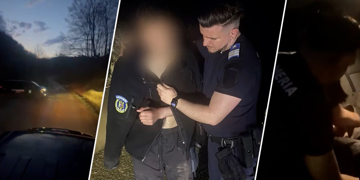 Urs la vânătoare: Tânăr scăpat de furia animalului, salvat de jandarmi