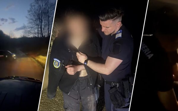 Urs la vânătoare: Tânăr scăpat de furia animalului, salvat de jandarmi
