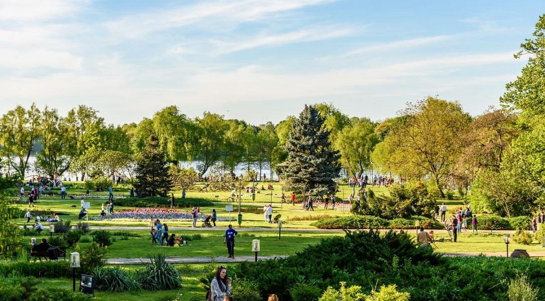 Festivaluri de film și Hanami: Weekend-ul aduce ARTE la București și în țară