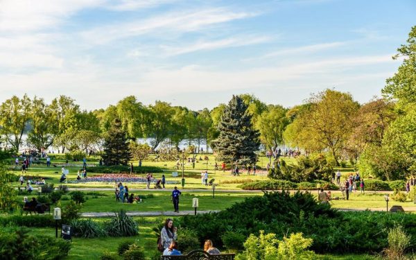 Festivaluri de film și Hanami: Weekend-ul aduce ARTE la București și în țară