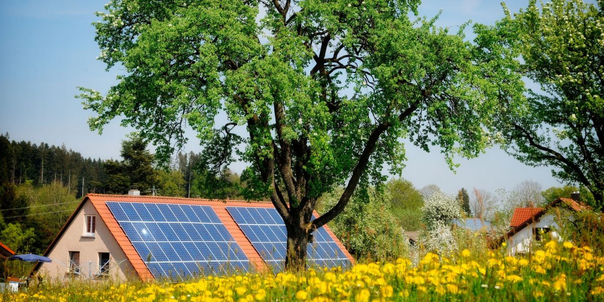 Lemnul minune: Inginerii au inventat materialul care produce energie și noaptea