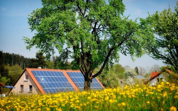 Lemnul minune: Inginerii au inventat materialul care produce energie și noaptea