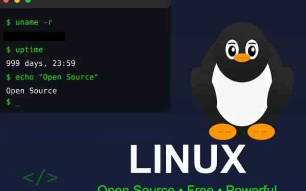 Franța, război cu Giganții Tech: RENUNȚĂ la Windows pentru Linux!