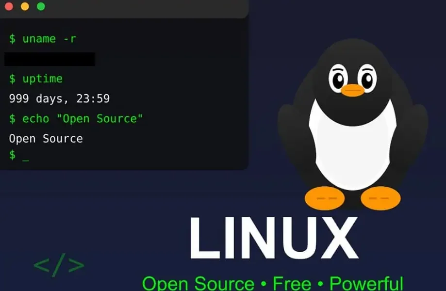 Franța, război cu Giganții Tech: RENUNȚĂ la Windows pentru Linux!