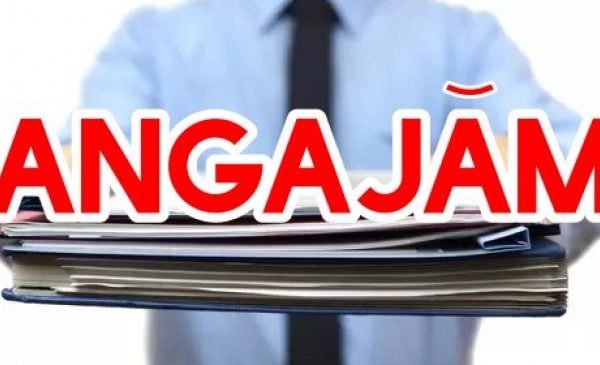 Angajări frenetice în România: Firmele se „bat” pe șoferi, curieri și necalificați