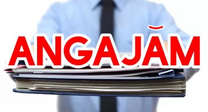 Angajări frenetice în România: Firmele se „bat” pe șoferi, curieri și necalificați