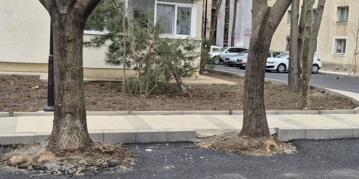 Hopincă, amendat drastic de Garda de Mediu: parcări în spațiul verde