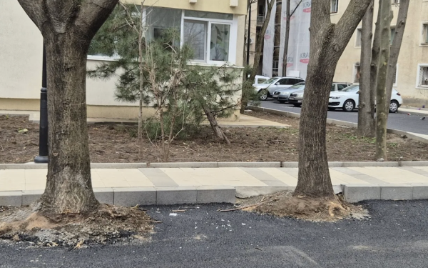 Hopincă, amendat drastic de Garda de Mediu: parcări în spațiul verde