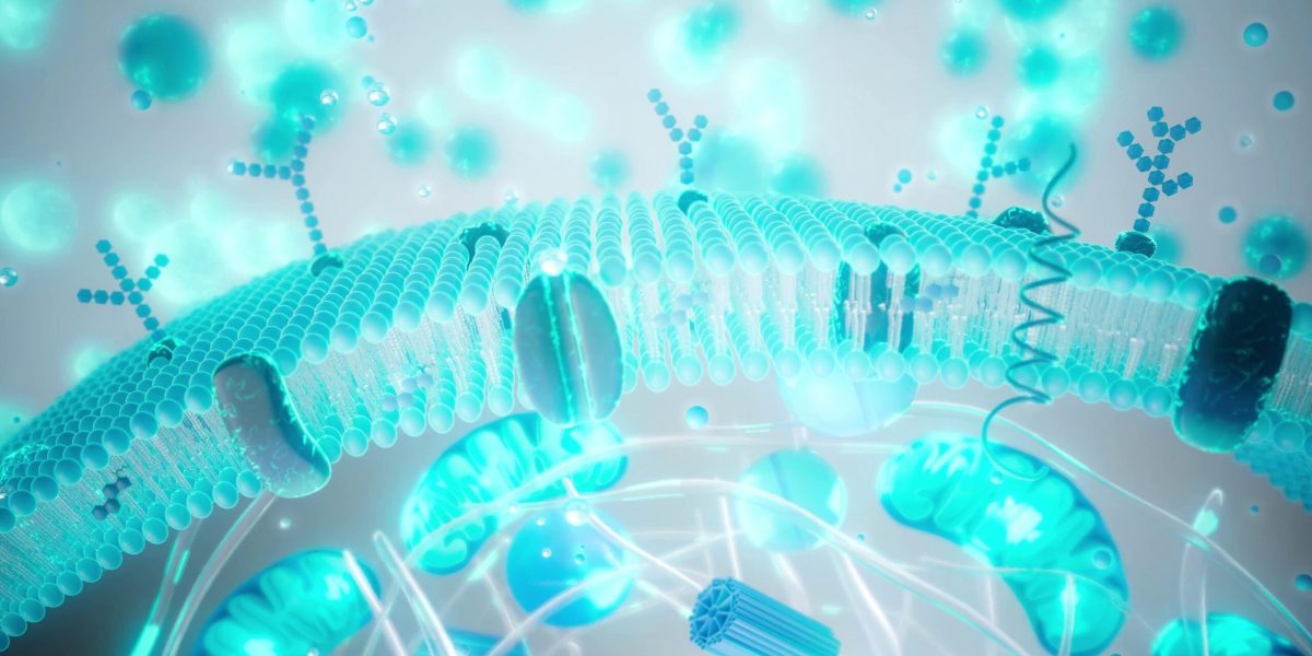 tinerețe contra cost: cât din industria longevității e știință?