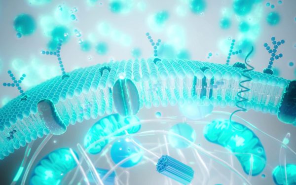 tinerețe contra cost: cât din industria longevității e știință?