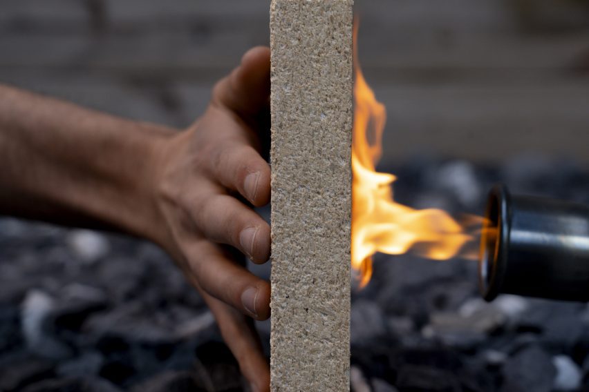 Rumegușul SE TRANSFORMA într-un material de construcție rezistent la foc. Secretul? Pepenele