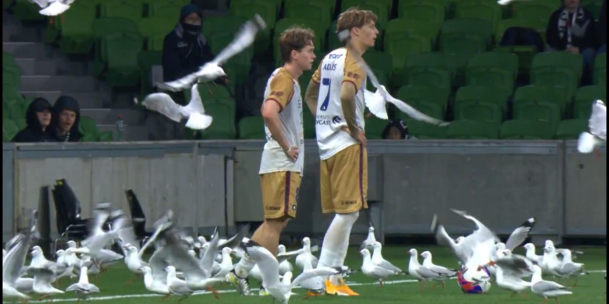 Scandal în fotbal: Meci întrerupt din cauza unui motiv…hilar