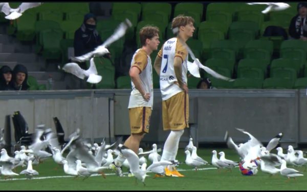 Scandal în fotbal: Meci întrerupt din cauza unui motiv…hilar