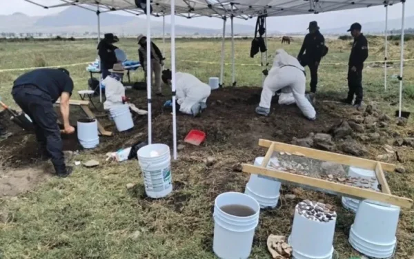 Descoperire ȘOC: ”Cimitirul” cartelurilor, locul unde oamenii dispar fără urmă!