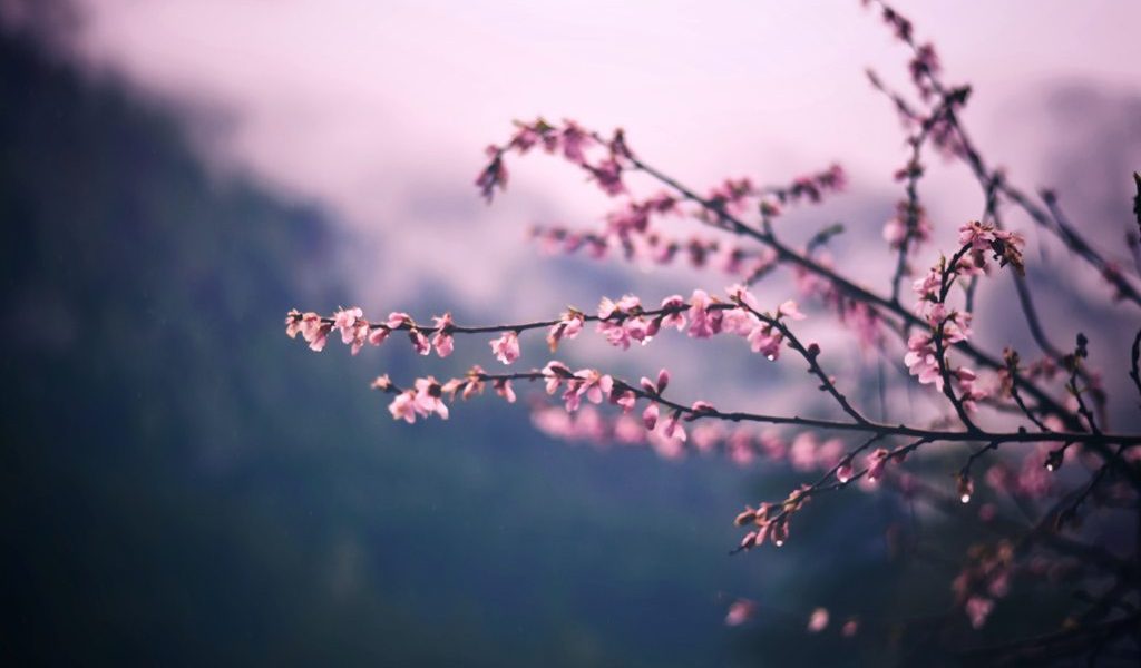 Vreme de Paște: frig, ninsoare la munte și ploi mărunte prin România