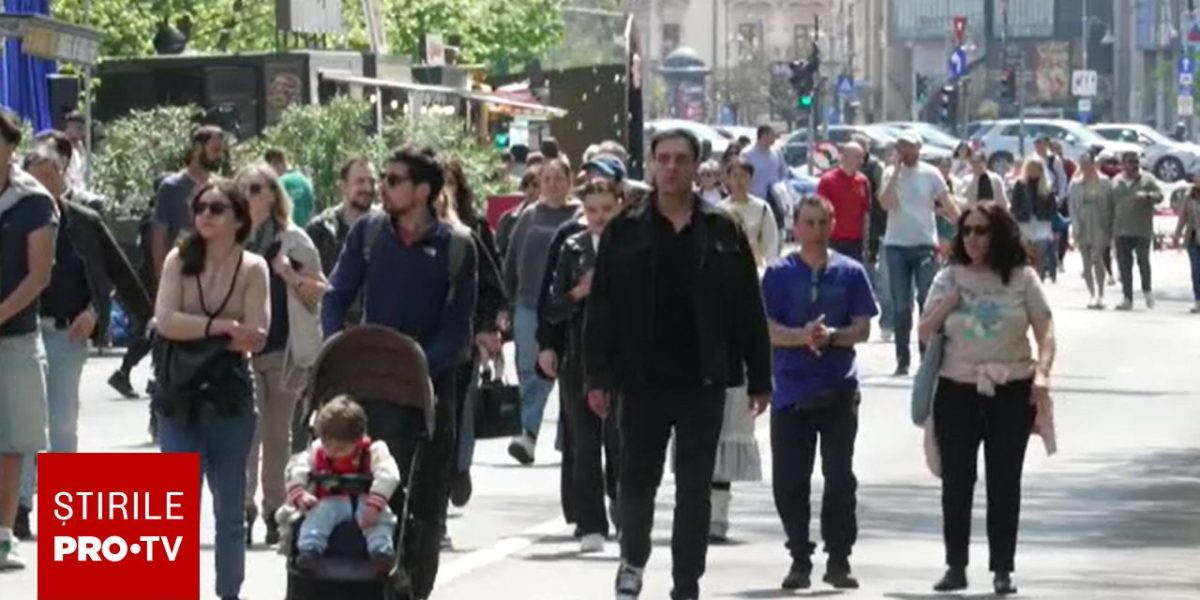 Bucureștiul vibrează: Festivalul Street Food invadează Kiseleff cu bunătăți