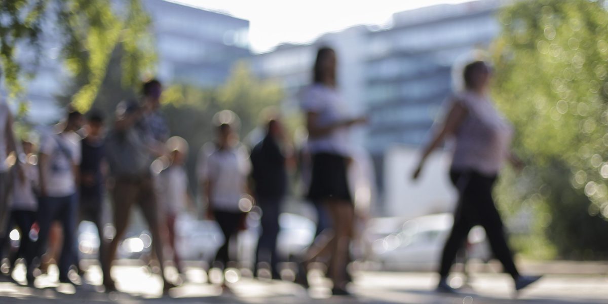 Harghita: 200 de șomeri au învățat limba română pentru un job mai bun