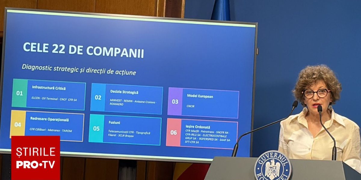 Oana Gheorghiu: „Găurile negre” de la stat, 1.500 de companii în risipă