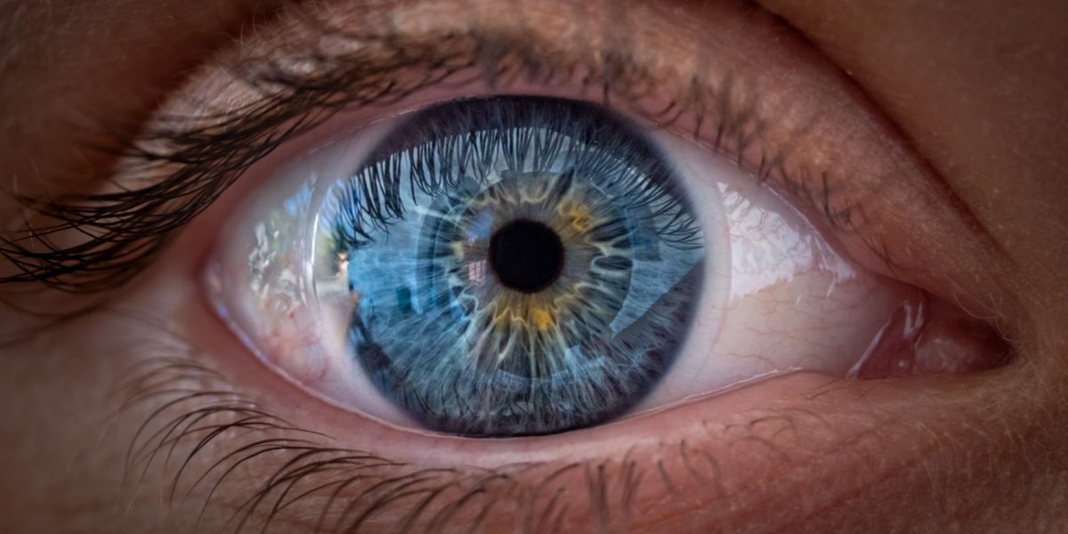 O nouă cercetare aruncă o lumină proaspătă asupra modului în care ochiul uman percepe lumea, contestând teorii consacrate despre focalizarea culorilor