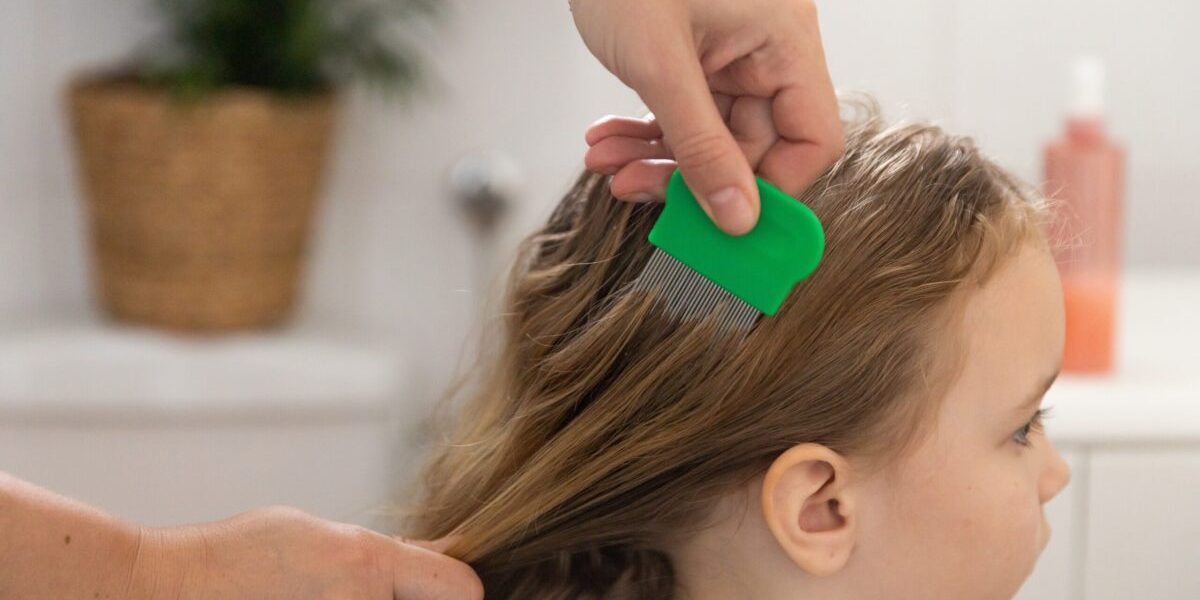 Remedii NATURALE ANTI-PĂDUCHI: Ce funcționează cu ADEVĂRAT pentru întreaga familie