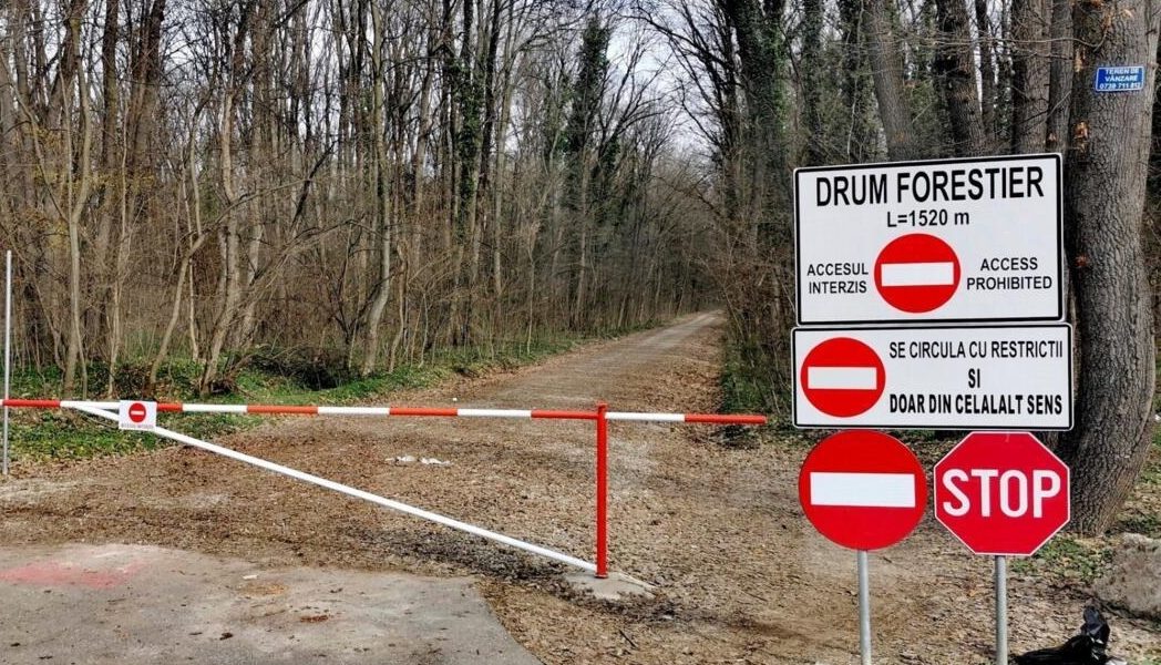 Mașinile, INTERZISE în Pădurea Băneasa: Romsilva blochează accesul rutier