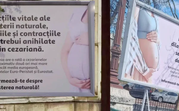 Senatoarea, furioasă după cezariană: „Bucureștiul e o nebunie cu panourile!”