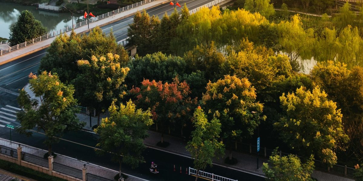 Galați: Patru păduri urbane prind viață cu 3,5 milioane lei din PNRR