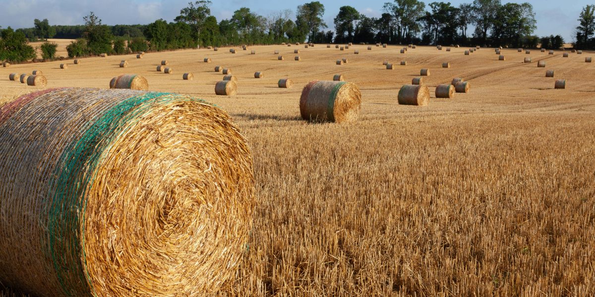 Comisia Europeană, undă verde pentru 300 milioane € ajutor în agricultură francez
