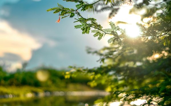 Primele raze, pericol pentru piele după iarnă: Ce spun medicii