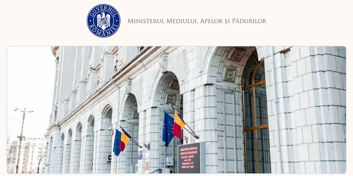 Modificări Guvernamentale: Dezbateri aprinse pe compensații pentru lemn neextras în 2010-2013