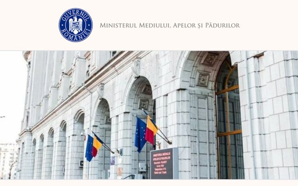 Modificări Guvernamentale: Dezbateri aprinse pe compensații pentru lemn neextras în 2010-2013