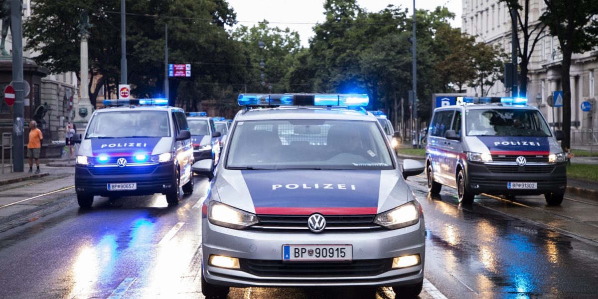 Viena: Bandă de escroci români, prinsă! Cum acționau țeparii