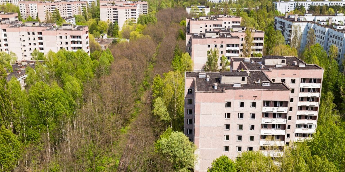 „Spiritele” prosperă la Cernobîl: Descoperire șocantă după 40 de ani de la dezastru