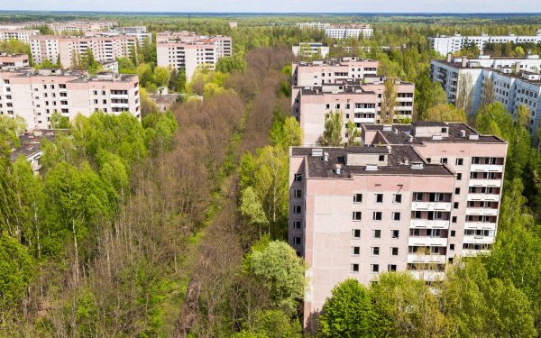 „Spiritele” prosperă la Cernobîl: Descoperire șocantă după 40 de ani de la dezastru