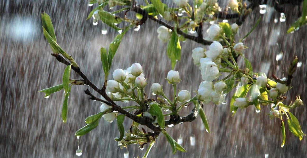 Vremea se strică: Temperaturile scad drastic în weekend