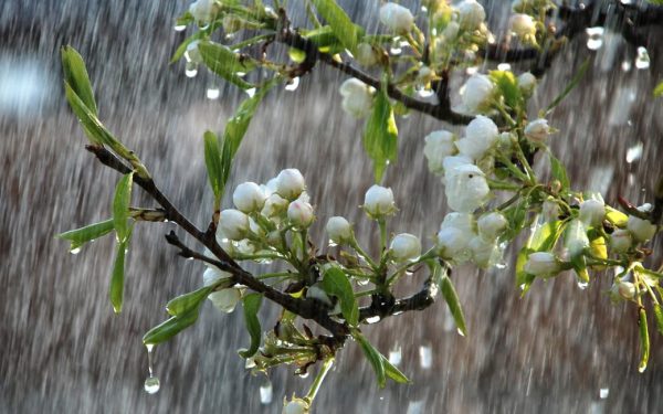 Vremea se strică: Temperaturile scad drastic în weekend