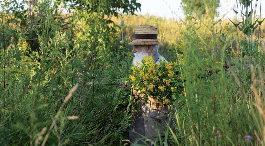 Expoziția Ștefan Câlția la Sibiu: Temele recurente ale artistului, în prim-plan