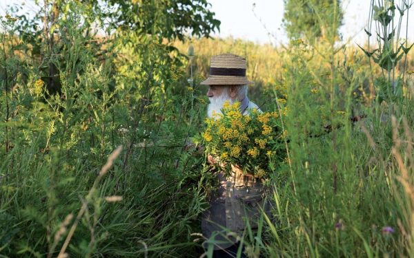 Expoziția Ștefan Câlția la Sibiu: Temele recurente ale artistului, în prim-plan