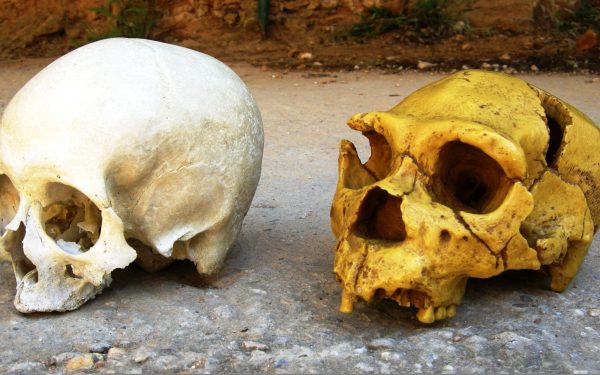 Cum ne influențează NEANDERTHALIENII și azi, în România și Europa