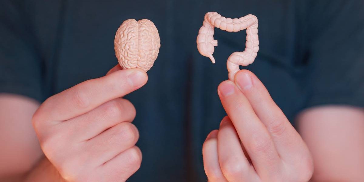 Stresul Sărbătorilor: Cum ne afectează digestia și pofta de mâncare