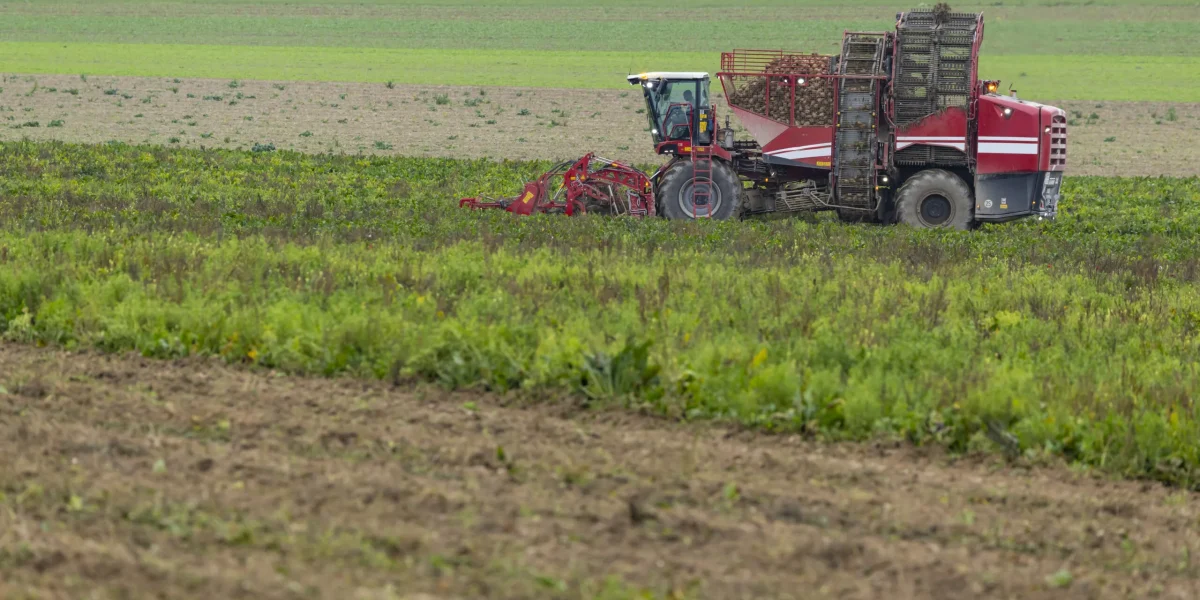 Vremea din perioada 4–10 aprilie 2026 va permite desfășurarea normală a proceselor biologice în majoritatea regiunilor agricole ale țării, conform specialiștilor din domeniul meteorologic