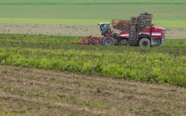 Vremea din perioada 4–10 aprilie 2026 va permite desfășurarea normală a proceselor biologice în majoritatea regiunilor agricole ale țării, conform specialiștilor din domeniul meteorologic